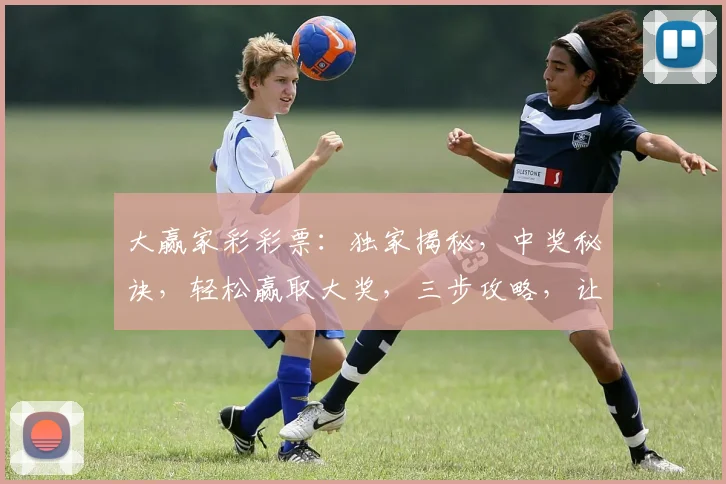 大赢家彩彩票:独家揭秘,中奖秘诀,轻松赢取大奖,三步攻略,让您成为幸运儿,不容错过